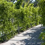 Lägenhet 44 - Visitopl