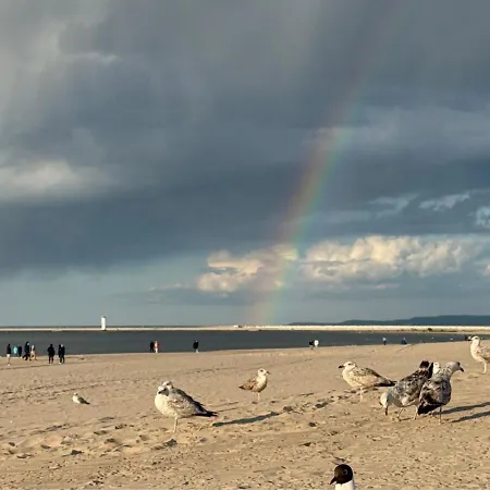 44 - Visitopl Daire Swinoujscie