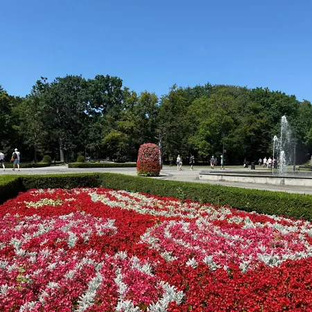 Daire 44 - Visitopl *